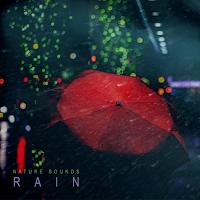 Natural Rain Relaxing Music