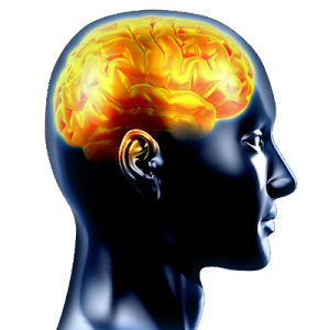 Brain Training Screenshot 0