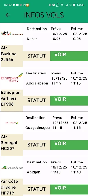 Bamako Airport Screenshot 1