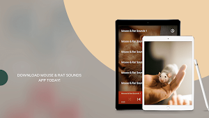 Mouse and Rat sounds Screenshot 2