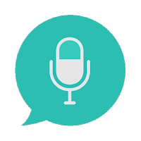 VT Translator