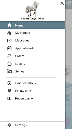 Ben Hufnagel DVM Screenshot 1