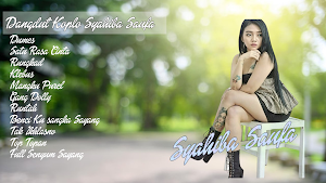 DJ Kentrung Syahiba Offline Screenshot 0