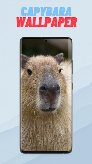 Capybara Wallpaper HD Screenshot 0