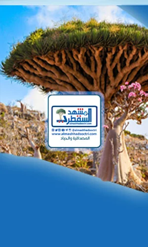 المشهد السقطري Screenshot 0