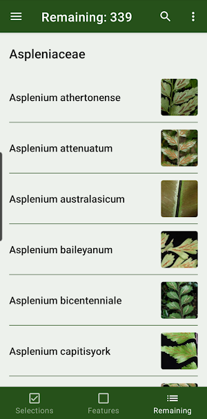 Australian Tropical Ferns Screenshot 3