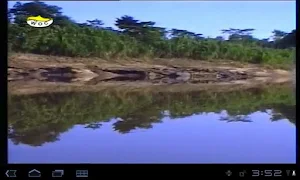 Tambopata Rainforest Reserve 1 Screenshot 3