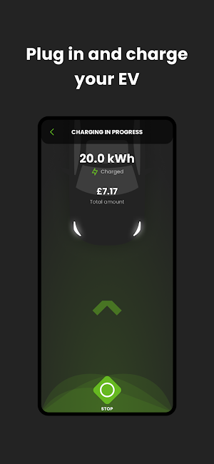 Par EV Screenshot 3
