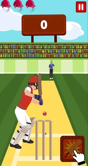 Cricket Pro Screenshot 0