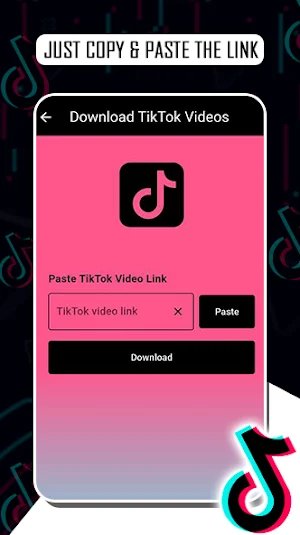 Crazy Downloader Screenshot 2