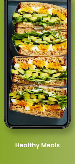 Healthy Meals Recipes Screenshot 1