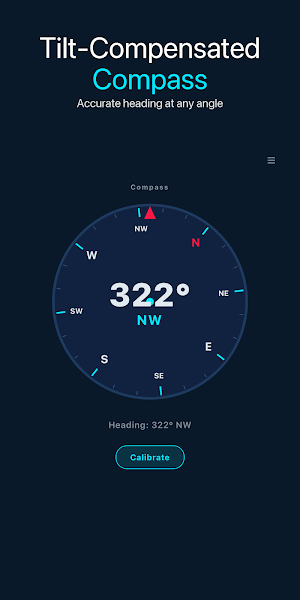 Magnetometer: EMF & Metal Screenshot 2