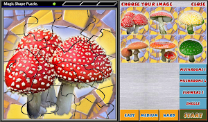 Magic Shape Puzzle 2 Screenshot 1
