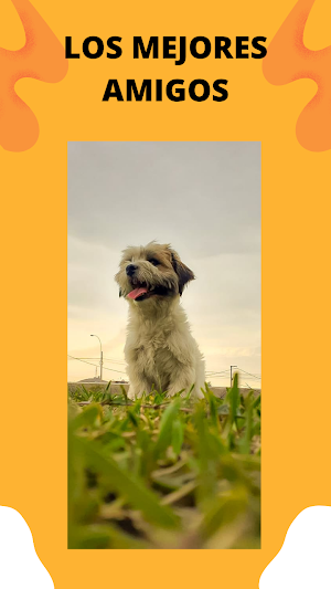 Foto de Animales Screenshot 0