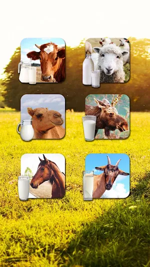Milking Cow Game Screenshot 2