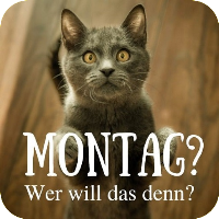 Montag Bilder Lustig