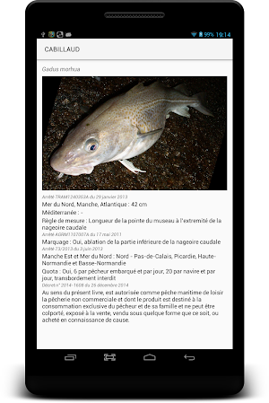 LaMaille pour la pêche en mer Screenshot 2