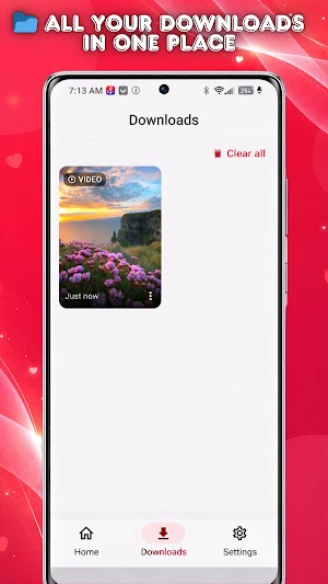 Video Downloader for Pinterest Screenshot 3
