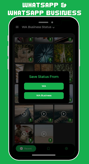 Status Saver Pro & Download Screenshot 2
