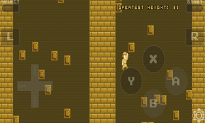 EmuNDS XL Screenshot 1