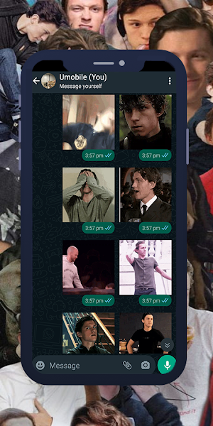 Tom Holland Animated Stickers Screenshot 0