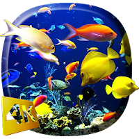 Aquarium Video Live Wallpaper
