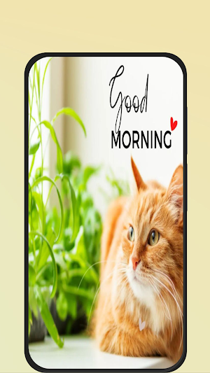 cat good morning Screenshot 0