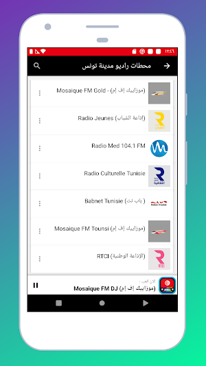 Radio Tunisia: Stations FM AM - Live Radio Online Screenshot 2