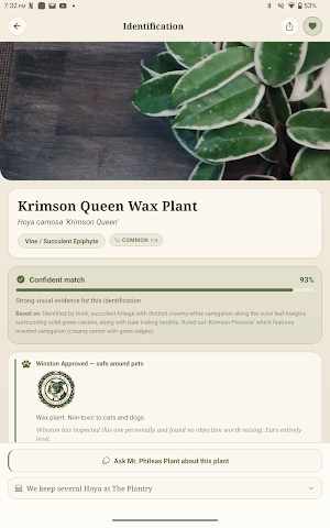 The Plantry: Ask Mr. Phileas Screenshot 0