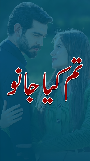 Tum Kia Jano Romantic Novel Screenshot 0