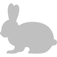 Silver Rabbit