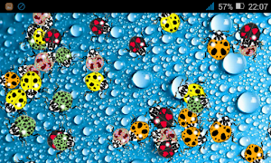 LadyBugs on water Screenshot 2