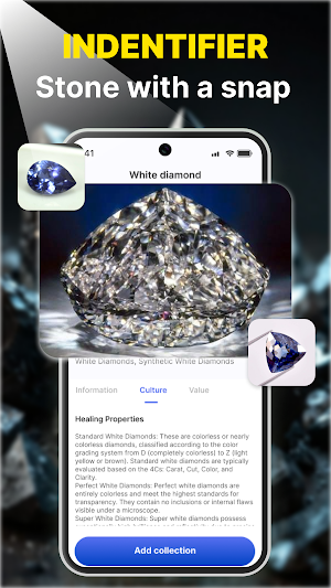 Wesnap: Rock Identifier Screenshot 1