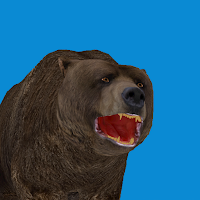Brown bear blasts salmon