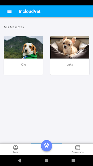Incloudvet Screenshot 2