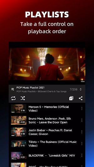 ProTube - Block Ads on Video Screenshot 1