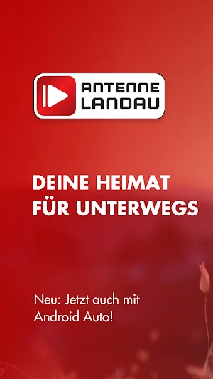 Antenne Landau Screenshot 0