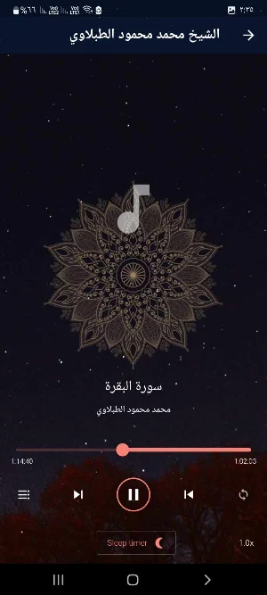 الطبلاوي ترتيل بدون نت Screenshot 1