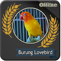 Suara Burung Lovebird Betina Offline