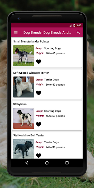 Dog Breeds Encyclopedia: Dog Breeds App Screenshot 2
