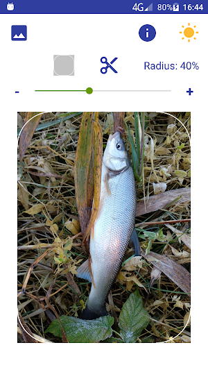 Rounding picture corners Screenshot 3