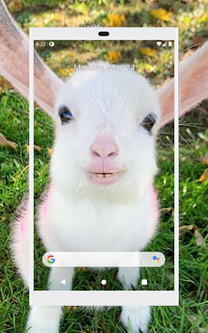 Papéis de Parede com Animais de Fazenda em HD Screenshot 1