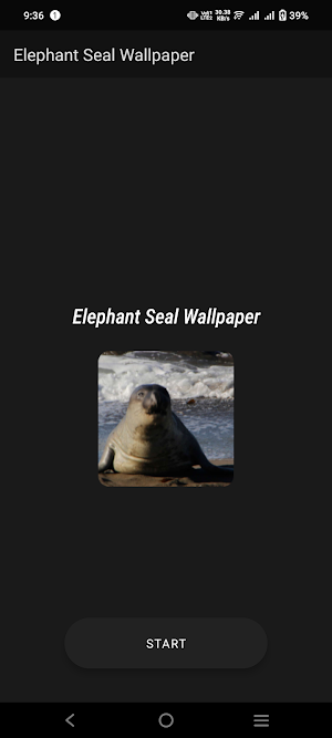 Elephant Seal Wallpaper Screenshot 1