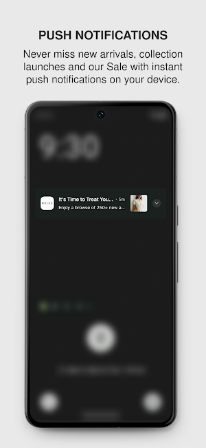 REISS Screenshot 2