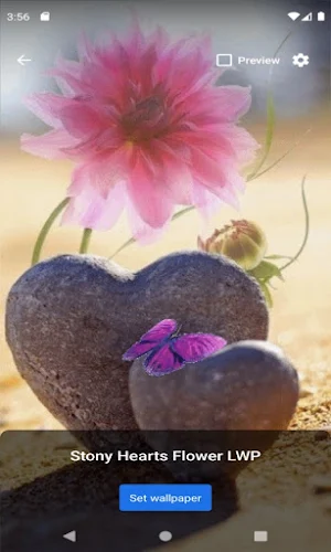 Stony Hearts Flower LWP Screenshot 0