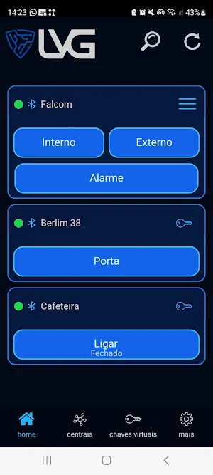 LVG Segurança eletrônica Screenshot 2
