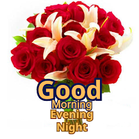 Good Morning Evening Night GIF