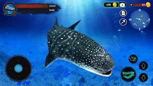 The Whale Shark Screenshot 3
