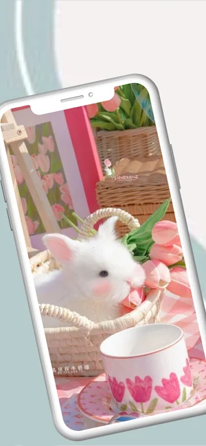 SnowballandRabbit Wallpaper 4K Screenshot 1