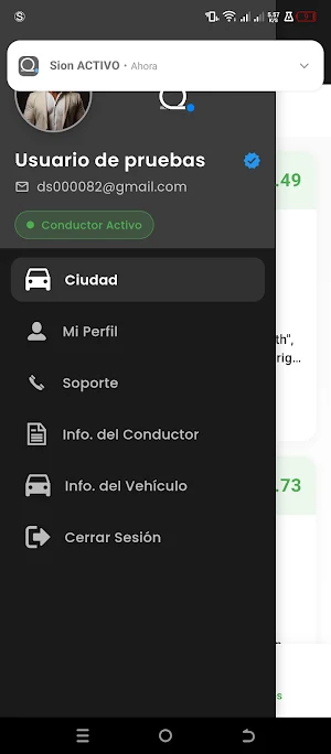 Sións Conduce Screenshot 3
